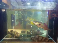 熟悉的味道，熟悉的城市，重游珠江廣州塔，回憶起那些年在廣州工作的日子以及一個人度過的那段時光！
很喜歡《阿甘正傳》 裏的這句臺詞：“ 我不覺得心智成熟是越來越寬容，什麼都可以接受。相反，我覺得那應(yīng)該是一個逐漸剔除的過程，知道自己最重要的是什麼，知道不重要的是什麼，然後做一個簡單的人。
我們終其一生尋找的，應(yīng)該是自己喜歡的生活方式，和想要成為的人。所以多走點彎路也沒關(guān)係的，花很多時間在路上也不要緊的，和世俗或是別人所期待的不一樣也可以的。只要你是在成為你的路上，就夠了。
成長就是你最終會發(fā)現(xiàn)，世界上什麼人都有，當(dāng)你能夠豁達(dá)地面對他們，擁有制怒之力，不再妄想強行改變誰，那將會是自己的新生，管好自己，但行好事，不渡他人。
吸引力法則：我很自律，我很努力，我很可愛，我很值得，我不內(nèi)耗，我不焦慮，接下來會有很多好事發(fā)生，快樂會貼近，麻煩會遠(yuǎn)離，難關(guān)都通過，會有很多好消息！配圖