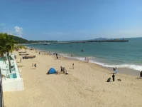 請到天涯海角來
這里四季春常在
海南島上春風暖
好花叫你喜心懷
三月來了花正紅
五月來了花正開
八月來了花正香
十月來了花不敗
來呀來呀來呀
請到天涯海角來
這里花果遍地栽
百種水果百樣甜
隨你甜到千里外
柑桔紅了叫人樂
芒果黃了叫人愛
芭蕉熟了任你摘
菠蘿大了任你采
來呀來呀來呀?配圖