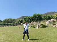 請到天涯海角來
這里四季春常在
海南島上春風暖
好花叫你喜心懷
三月來了花正紅
五月來了花正開
八月來了花正香
十月來了花不敗
來呀來呀來呀
請到天涯海角來
這里花果遍地栽
百種水果百樣甜
隨你甜到千里外
柑桔紅了叫人樂
芒果黃了叫人愛
芭蕉熟了任你摘
菠蘿大了任你采
來呀來呀來呀?配圖