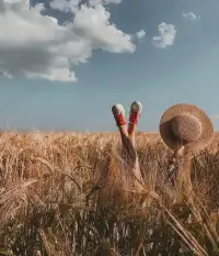 活着。 带着世界赋予我们的裂痕去生活。 用残损的手掌抚平彼此的创痕， 固执地迎向幸福吧。 因为没有一种命运是对人的惩罚。 而只要竭尽全力，就应该是幸福的。 拥抱当下的光明，不寄希望于空渺的乌托邦，振奋昂扬。 因为生命本身就是对荒诞最有力的反抗。
——加缪《西西弗神话》