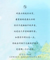 对真正的成长而言，
最重要的是要认识到
你并不是脑海中的声音，
而是这个声音的倾听者。
如果你不明白这一点，
你就会纠结于无数的声音中
究竟哪一个才是你。
——迈克尔·辛格
《清醒地活:超越自我的生命之旅》