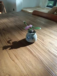 “世界不是直來直往的。長大的時候，你以為事情會按照某種方式進(jìn)行，你以為有規(guī)矩可循，你以為事情一定是什么樣子的。?但世界才不在乎你的規(guī)矩，或你的信仰呢。有時候，世界不過就是發(fā)生在你身上了而已，人只能盡全力，往前走。”
——伊麗莎白·吉爾伯特配圖