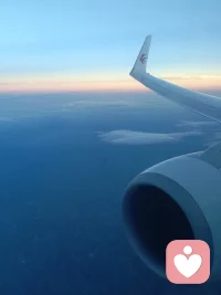 這個(gè)世界上無(wú)所謂幸福，也無(wú)所謂不幸，?有的只是一種境況和另一種境況的比較。?只有體驗(yàn)過(guò)極度不幸的人，才能品嘗到極度的幸福。只有下過(guò)死的決心的人，才會(huì)知道活著有多好。?人類的智慧就包含在這五個(gè)字里面:等待和希望。
——大仲馬《基督山伯爵》配圖