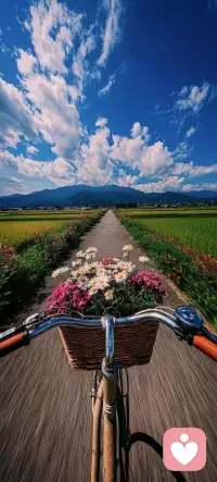 一定要多拍照，
盡可能去記錄生活裡的每一刻。

因為等你回頭看的時候才會發(fā)現(xiàn)，
那些你以為永遠(yuǎn)難忘的瞬間，
其實真的很容易被時間悄悄抹去。

記憶會淡，情緒會散，
但一張照片，
可以把那些珍貴的片段，重新叫醒。

別等到遺忘了才後悔，
用相機(jī)、用手機(jī)、用心，
替自己的故事留下一點痕跡。

你會感謝當(dāng)時那個願意記錄的自己。配圖