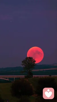 We may never make sense to other people in ways that they can be please about us but know that whatsoever we deserve in living the life we feel we are happy with, every struggle we came to survive, every lesson we learn and every pain we overcome, teaches and helps us grow and become a better person, as we move forward. Being strong may never be worth enough to keep ourselves resourceful always, however we are simply amazing for whatsoever we're meant to believe. When we know, not everything in life is always good and beautiful but we're always finding means and reasons for solutions to our problems and take considerations of situations we can't change but we believe we can always work it out with positive approach and thinking.
“我們可能永遠無法讓其他人感到滿意，但他們知道，無論我們如何生活，只要我們覺得快樂，我們經歷的每一次掙扎，汲取的每一個教訓，克服的每一次痛苦，都教會我們成長，幫助我們成為更好的人。盡管堅強可能永遠不足以讓我們始終足智多謀，但無論我們注定相信什么，我們本身就是非凡的。當我們明白，生活中并非事事美好，但我們總能找到解決問題的方法和理由，并考慮那些我們無法改變的情況，我們相信總能以積極的態度和思維找到出路。”配圖