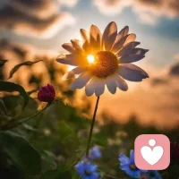 如同那悠揚的旋律，在生命的舞臺上輕輕回蕩。我們在這有限的時光里，盡情地歌唱，盡情地舞蹈，用我們的熱情與才華，編織著屬于自己的精彩篇章。不要畏懼歲月的流逝，不要害怕生命的短暫，因為在這放歌的時光里，我們已經擁有了最寶貴的財富——那就是對生活的熱愛與追求。配圖