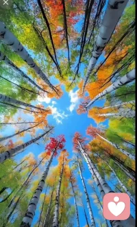“目标是穿越沼泽地，不是对付每一条鳄鱼” 
很喜欢这句话，它的核心意思就是人不要着了相，不纠结、不恋战，记住自己的主线任务，这也是对我们未来生活的警示。
“你的事我毫不关心，我的事你休想了解！” 
你需要做的是只想自己，做自己想做的事。要知道高能量的人永远只关注自己的进步，永远只关注自己的目标，自己的提升，自己的修养，并不会把大量的注意力给到外界。很多人会无休止地关注别人的言行、进展，这无形就是把自己的能量消耗出去了，你关注了谁，就把自己的能量分给了谁。不管是好的关注还是不好的关注，你都在消耗着自己的能量。
永远要对自己说:我是最重要的！全然围绕自己的目标，提升自己的能量！配图