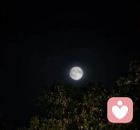 今夜月明人尽望，不知秋思落谁家。
——唐·王建《十五夜望月》

夜宛如一块巨大的深蓝色绸缎，轻柔地笼罩着世间。今夜，明月高悬，如银盘般散发着清冷又迷人的光辉，引得无数人驻足仰望。街头巷尾，人们或凭栏，或倚窗，皆沉醉于这皎洁月色。然而，在这同一轮明月下，不知那如潮水般的秋思，究竟会悄然落入谁家的小院，勾起谁心底深藏的眷恋与惆怅？配图