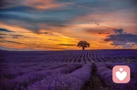 深秋，薄念，花不語，風卻懂，
秋，一半蕭瑟，一半靜美，
有些人來了去了，有些人近了遠了，
好像什麼事都還沒來得及去做，
一年又過去了，願你淡看秋色，
向陽而生，閱己，越己，悅己。

煙火人間，各有遺憾，
今天比昨天好，這就是希望，
願我們與時光落落為安，
只記歡喜不記憂愁。

無法重來的一生，
希望我們都能儘量快樂.
人生就像四季，
春華秋實，夏雨冬雪，
自有規律，
在該奮鬥的年紀好好努力，
你會發現，
人生皆是春夏秋冬的饋贈。配圖