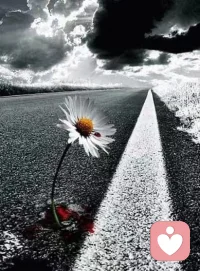 曾奇峰:今天是世界精神衛生日。在這里，想給你十條關于精神健康的建議。
第一，人一輩子都在和自己相處。最可怕的不是孤獨，而是你和自己相處得太糟糕。能一個人安靜地待著，是心理成熟的起點。
第二，焦慮是現代人的常態。別急著把它治好。焦慮本身是一種生命力，它提醒你：你想活得更真實。
第三，精神健康不等于情緒穩定。真正的心理成長，是你能承受波動，而不是永遠平靜。
第四，別太相信正能量。壓抑負面情緒，只會讓它們轉移成別的形式，比如暴躁、失眠、或一種持續的空虛。
第五，你對別人苛刻，其實是對自己的失望在作祟。先看清自己的攻擊性，才有可能真正溫柔對待他人。
第六，學會對父母失望。只有承認他們不完美，你才能從他們的命運里逃脫出來，開始屬于你自己的人生。
第七，心理咨詢不是改變別人，而是看清自己?？辞遄约褐?，你才能放過別人。
第八，愛一個人之前，先搞清楚你愛的究竟是他，還是你幻想中的他。很多痛苦的感情，都來自“我在和自己戀愛”。
第九，不要追求徹底的治愈。生命的本質就是矛盾，精神分析做的，是讓你在矛盾中活得自洽。 
第十，建造你的內在秩序。外部世界永遠混亂，能穩住的，只有你的內心。 
心理健康并不意味著沒有問題，而是你能和問題一起活下去。 
當你能誠實地承認“我沒那么完美”“我也會害怕”，你已經比昨天健康了一點。配圖