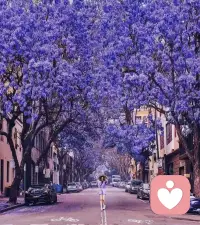 “ 朋友圈裡未必有朋友，但黑名單裡總有故人。” 深以為然！
什麼情況下，你會拉黑一個人？
一位網友他給了我，他的答案——
對他掏心掏肺地付出，最後卻被徹頭徹尾地辜負。

我能理解她說這句話時的無奈和失望。

每個人都是這樣吧，從義無反顧地愛一個人，到心如死灰地放棄一個人，而那些給了自己無盡傷痕的人，就永遠留在了黑名單裡。

但我想說的是，真正的放下，不是刪除或者拉黑，是不聞不問，是無動於衷，拉黑、刪除，這所謂的放下，其實藏下了太多的放不下。

如果你真的想要徹底放下一個人，不如果斷一點，首先，好好愛自己，花更多的時間投資自己，而不是糾結過往，然後，努力提升自己，讓自己變得更優秀，更出色。
 
最後，不念過往，不懼未來。配圖