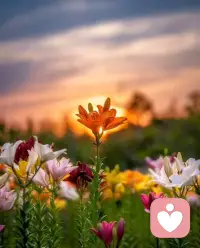 Sometimes what didn't work out for you REALLY worked out for you.
The path of disappointment often leads directly to your truest alignment. When a door slams shut—a job is lost, a relationship ends, or a plan fails completely—our immediate reaction is pain and failure. Yet, with the clarity of hindsight, we realize that the very thing that didn't work out for you was, in reality, the precise mechanism that protected you and redirected you. 
The perceived failure forced a detour onto a path that was necessary for your growth, shielded you from a future of misalignment, or cleared the space needed for a better opportunity to emerge. This insight teaches us to greet every setback not as a dead end, but as a subtle, benevolent worked out for you redirect from the Universe. 
有時候，那些對你來說不順利的事情，實際上卻對你非常有利。

失望的道路往往直接通向你最真實的契合點。當一扇門砰然關閉——失去一份工作、一段關系結束，或者一個計劃徹底失敗——我們的第一反應是痛苦和失敗。然而，通過事后清晰的視角，我們會意識到，那些未能如你所愿的事情，實際上正是保護你并引導你轉向的精準機制。

這種感知到的失敗迫使你不得不走上一條對于你的成長來說是必要之路，它保護你免受與當前方向不一致的未來影響配圖