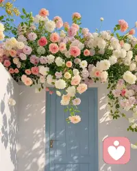 楊絳先生說(shuō)： 活得通透的人，沒(méi)有特別想維持的關(guān)係，也沒(méi)有特別想要的東西，走近的人不抗拒，離開(kāi)的人不強(qiáng)留，就連吃虧也懶得計(jì)較。

所謂通透，不過(guò)是嚐盡了悲歡離合，見(jiàn)多了人情冷暖，在歲月的苦難裏，一步步成長(zhǎng)起來(lái)，開(kāi)始變得隨遇而安。

人生無(wú)常，有多少事能夠始終如願(yuàn)？有多少人可以相伴永遠(yuǎn)？該來(lái)的，擋不住，該走的，留不住，每個(gè)人終要學(xué)會(huì)禮貌退場(chǎng)。

在得到之前，不欠自己一份努力；在失卻之後，不欠自己一份淡然。

要知道，人生最重要的能力，不是多會(huì)賺錢，多善交際，而是無(wú)論發(fā)生任何事，都有快樂(lè)起來(lái)的能力。

即使生活虧欠了我，我依然可以向陽(yáng)而生。

佛家常講，心生執(zhí)著，則痛苦生，心生隨緣，則歡喜生。

你來(lái)，我用真心待你，你走，我不強(qiáng)留於你，活在緣分中，而非關(guān)係裏。

允許一切發(fā)生，然後想開(kāi)、看開(kāi)，讓自己放下，從容。

真正活通透的人，不需要刻意去遇見(jiàn)誰(shuí)，也不需要勉強(qiáng)留住誰(shuí)，沒(méi)有特別想維持的關(guān)係，也沒(méi)有特別想要的東西。

就像錢鍾書所說(shuō)：洗一個(gè)澡，看一朵花，吃一頓飯，假使你覺(jué)得快活，並非全因?yàn)樵柘吹们瑴Q(jìng)，花開(kāi)得好，菜合你口味，主要是因?yàn)槟愕男纳蠜](méi)有掛礙。

願(yuàn)你我終能活得通透，寵辱不驚，看庭前花開(kāi)花落；去留無(wú)意，望天上雲(yún)捲雲(yún)舒。配圖