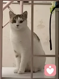 今天分享的是《百年孤獨》這是我聽到非常經(jīng)典的句子，分享給大家，來自百年孤獨
人的精神寄托可以是音樂，可以是書籍，可以是工作，可以是山川湖海，唯獨不可以是人，為什么獨獨不可以是人呢？因為人是一個非常復雜而涼薄的物種，善變是它的本質(zhì)。如果把人作為精神寄托，那就是在賭人心，賭人性，十有八九會落空。如果你依賴一個，壓根兒就不穩(wěn)定的東西，且抱有過高的期待，必定會傷痕累累，以失敗告終。生命本來就是一場孤獨的旅行，所有的關(guān)系本質(zhì)上都是一場階段性陪伴，僅此而已。每一段關(guān)系，我們可以珍惜，可以善待，唯獨不可以依賴。
#好書分享#好書推薦#情感共鳴#感悟#百年孤獨#自我成長#日常讀書配圖