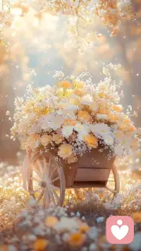 Beauty is in the heart. It isn't what you always see in a frame of structures build outside with faces of many people you meet everyday. It's a way of living from being contented of not having everything that you want and still manage to wear a smile, all the way. It is a mindset that never criticized anything from being poor or rich because it isn't valued with opinions of material aspects but of facts that touch our feelings, send them to a place that makes us feel we're never far from home, reminding us that once we've been there and it was a very wonderful experience we shouldn't forget.
美在于內(nèi)心。它不是你每天在外部構(gòu)建的結(jié)構(gòu)框架中總能看到的那些東西，那些結(jié)構(gòu)由你遇到的許多人面孔組成。這是一種生活方式，它源自于滿足于沒有擁有所有你想要的東西，但仍然能夠一路保持微笑。這是一種心態(tài)，它從不評(píng)判任何事物，無論是貧窮還是富有，因?yàn)樗⒉灰蕾囉谖镔|(zhì)層面的評(píng)價(jià)，而是取決于那些觸動(dòng)我們情感的事實(shí)，這些事實(shí)讓我們感覺我們從未遠(yuǎn)離家園，提醒我們，一旦我們?cè)?jīng)經(jīng)歷過那些，那是一種非常美好的體驗(yàn)，我們不應(yīng)該忘記。配圖