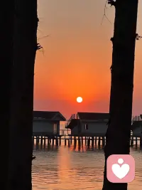 别再说什么我要变好，把这句话换成，我要成为某一件事的专家，我要成为这件事的高手，剩下的就是不停打磨
真正的成长开始于你停止思考之后，开始于你终于去做事之后。日拱一卒持续进步，哪怕你刚开始很差，但随着时间的推移，所有问题终将得到解决
那些看客，终究会忘掉你从前的瑕疵，他不得不接受你现在的完美，因为在你进步的这段日子里，他们始终还停留在原地配图