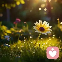 Don't worry about finding love.  Love will find you. In its own mysterious and magical ways, because souls like yours deserve to be loved.

别担心找不到爱情。爱会自己找到你。它会以它那神秘而神奇的方式降临，因为像你这样的灵魂理应得到爱。

——萨迪娅·恩廷配图