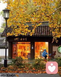 張愛玲說：“ 緣分不是靠找，而是上天注定的，如果有，躲都躲不掉，如果沒有，就算站在你面前，你都遇不到，好好珍惜你的緣分，不是每個人都能遇到。”

緣分是注定的，我們無法通過自己的努力去尋找一個完美的愛人，因為緣分不是我們可以掌控的。

有些人一輩子都找不到自己的真愛，而有些人卻可以在一瞬間遇到自己喜歡的人，這是無法用語言來表達的。我們應該好好珍惜，因為緣分是可遇而不可求的，也許這輩子就只有這麼一次機會。配图