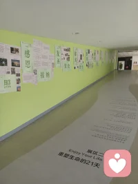 我离开的时候
也像现在一般落叶萧瑟
也像现在
有漂亮的女生
白发的先生
几个爱情诗人
几个流浪歌手
记得校门口的酒馆里
也经常有人大声哭泣
黑漆漆的树林里
有人叹息
那宿舍里的录音机
也天天放着爱你爱你
可是每到假期
你们都仓皇离去
这冬季的校园
也像往日一般安详宁静
也像往日
有漂亮的女生
白发的先生
只是再没有人来
唱往日的歌配图