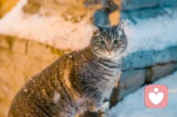 未来或许充满不确定，但有一件事是确定的：当知识唾手可得，唯有思维、爱与创造力，才是心中那束不被熄灭的光。配图