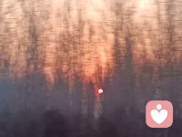 人生有很长的路要走，做一个内心笃定，拒绝随波逐流的异行者，掌控自己的人生而不被他人左右，坚信自我的信仰而不向世俗妥协，充实人生的阅历而不屑表面浮夸，敢于走别人没有走过的路，去收获别样的风景[加油][加油]配图