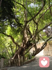 人生最大的意义就是让自己快乐。所以不要太敏感，不要总跟自己较劲，不要给自己施加太大的压力，更不要让情绪打乱你的生活节奏。可以短时间的不开心，但别长时间的不清醒，允许自己崩溃，但也要学会自愈。配图