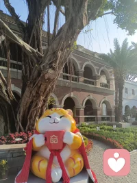 去爱一个让你笑的人，因为这世界，约你吃饭的人很多，但为你做饭的人很少;让你流泪的人很多，但为你擦泪的人很少;说爱你的人很多，但一直爱你的人很少。爱情，不是刹那间的冲动，而是当彼此都不再年轻的时候，他依然会把你宠成一个小孩 。
多年以后，他在闹，你在笑，这才是爱情最美的模样。”配图