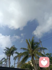 一个人的一生，只有童年，成年后发生的所有事，没有新鲜事，只不过是童年形成的人格在成年后不断的重复，改变命运，需要潜意识意识化配图