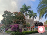 我们都是小人物，好好活着就行了，生活的本意是平淡且知足，谁不是用尽全力，却过着平凡的一生，只有自己喜欢的日子，才是最好的日子，自己喜欢的活法，才是最好的活法。生活没有比较，每个人的路不同，守好自己的节奏，过好自己的生活，别放大情绪，别为难自己，人生不过三万天，健康快乐最值钱！配图