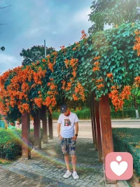 他听见有人
唱着古老的歌
唱着今天
还在远方发生的
像在她眼睛里
看到的孤岛
没有悲伤
但也没有花朵
你在南方的艳阳里
大雪纷飞
我在北方的寒夜里
四季如春
如果天黑之前来得及
我要忘了你的眼睛
穷极一生
做不完一场梦配图