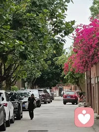 每日正能量：
（2026年2月27日星期五）

真正的赛场，从不在与他人的比较里，而在自己的内心。我们常常望向别人的山，却忘了自己正站在一条独一无二的路上。这条路上，没有输赢，只有前行；没有对手，只有那个昨日的身影。

每一天醒来，都是一次与自己的约定：要比昨天更清醒一点，更从容一点，更坚定一点。那些看似微小的进步——多读几页书，多坚持一个习惯，多克服一次犹豫——其实都是在悄悄改写生命的轨迹。

也许你也会累，也会怀疑，也会在深夜里问自己是否值得。但请记得：真正的成长，常常发生在无人看见的角落。就像种子在黑暗的泥土中扎根，就像星辰在寂静的宇宙中发光。你不需要超越谁，你只需要不辜负那个曾经咬牙不放弃的自己。

生命最美的姿态，从来不是站在顶峰俯视，而是在跋涉中一次次突破自我的边界。跨过内心的山丘，渡过情绪的河流，在平凡的日子里修炼出不平凡的自己。

所以，别担心比别人慢，别焦虑比别人晚。你的路，自有它的方向与花期。愿你始终向前，不是为了追逐谁的背影，而是为了成为一束更亮的光——照亮自己的山河，也温暖沿途的岁月。

这一生，我们终究是要与自己和解，与理想重逢。而超越自己，就是最深沉、最勇敢的浪漫。配图