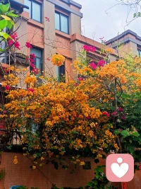 人民日报这段话送给你，树的方向风来定，人的方向自己定，没有规划的人生是拼图，有目标的人生叫航行，蜜蜂忙一天人见人爱，蚊子忙一天人人喊打，所以多忙不重要，忙什么才重要。盛年不再来，一日难再晨，你的时间花在哪，人生的花就开在哪，别把日子过成流浪，要把生活活成航行。

别想太多，好好生活，也许日子过着过着，就会有答案。 世上所有的惊喜和好运，都是你积累的人品与善良，把身体照顾好、把喜欢的事做好，把重要的人待好，你要的一切都在路上。加油💪你是最棒的！配图