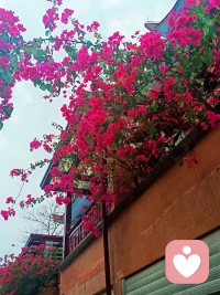 人生是一场即兴的演出，
只不过有些人表现得更自信而已。
只要你拥有热气腾腾的灵魂，
日子就不会差。
在有限的生命里，
往里走，安顿自己。
鼓起勇气，
万千道路，终将带领我们抵进繁星。

​周六
2026/02/28
丙午马年/正月十二
​配图