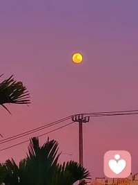 #元宵节快乐#祝家家团圆
往年，团圆更欢喜，此刻，平安更欢喜，冬已逝，春终至，来日可期！配图