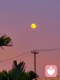 正月十五元宵节，元宵元宵，祸患全消，愿二零二六年顺顺利利，健健康康，平平安安，无病无灾，愿身体健康，幸福快乐，除了平安，还希望发财被爱，财运势不可挡，人顺家兴旺，年年皆如愿！配图