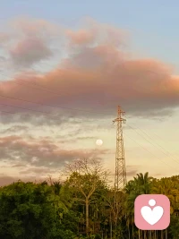 I no longer force people to love me and treat me properly. I no longer force conversations. I no longer force anyone to give me attention. I no longer care for those who don't appreciate me. I've come to realize that my peace of mind is more important than anybody's mistreatment. I've learned to walk away from people who couldn't see my worth. I don't want to be awake all night long, questioning my worth.

I chose to protect my peace of mind. I chose to walk away from people who gave me reasons to feel worthless. And for the first time in my entire life, I've learned to appreciate myself more after I walked away from toxic people. I used to feel so unworthy of love, but now that I chose to put myself first, I've realized that I am not really hard to love— I was just settling for less than what I deserve.
我不再强迫他人爱我并对我以礼相待。我不再强求进行交谈。我不再强迫任何人给予我关注。我不再在意那些不赏识我的人。我已逐渐意识到，内心的平静比任何人的苛待都更为重要。我已学会远离那些看不到我价值的人。我不想整夜醒着，质疑自己的价值。

我选择保护自己的心灵平静。我选择远离那些让我有理由感到自己毫无价值的人。这是我一生中的第一次，在远离了那些有毒的人之后，我学会了更加珍视配图