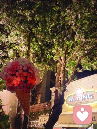 你无法用眼睛分辨一个人，所以你先对一个人好，然后看他如何回馈你，不真诚的人是接不住你的真诚的，一旦接触到真诚，他们反而滋生了傲慢和贪婪。这就是心理学上认为的，人无法接住他本身没有的东西，人品好的人你给他5分真诚，他想回馈你10分，而那些人品不好的人，你付出的真诚他会膨胀，他会把你当做下位者，拿捏你，真诚的人不是傻，是良好教养和人品的投射，他们用真诚淘汰了不值得的人。配图