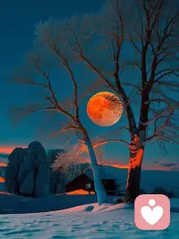 Learn to embrace the uncertainties of life, because the most beautiful moments always come unexpectedly when you least expect them.
学会拥抱生活里的不确定，因为那些最美的瞬间，往往都在不经意间悄然降临。配图