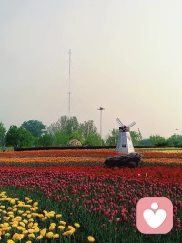 In a world full of noise, stay true to your path, trust your intuition, and let your actions speak louder than words.
在喧嚣的世界里，坚守自己的路，相信直觉，让行动比语言更有力量。配图