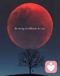 You don’t have to pursue everyone’s approval, nor prove your excellence to the world. Your life only needs to satisfy your own heart, live comfortably and worthy of yourself. As long as you have a clear conscience and live freely, no external evaluation can affect your happiness.
不必渴求所有人认可，不必向世界证明自己优秀。人生只需对得起本心，活得舒心坦荡、不负自己。只要心安自在，外界所有评价，都左右不了你的幸福。配图