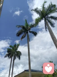 我们对他人的一见钟情、莫名反感，都是潜意识里的心理投射与能量共鸣。对方身上的特质，唤醒了我们潜意识里向往的美好或恐惧的过往。很多缘分的开始与结束，看似偶然，实则都是内在心理的必然牵引。不必纠结遇见的对错，只需明白所有相遇都是为了完成自我成长与觉察。精神分析让我们看淡缘分起落，在人情往来中保持清醒与通透。
Our love at first sight and inexplicable antipathy towards others are all psychological projections and energy resonance in the subconscious. The traits of the other person awaken the yearned-for beauty or fearful past in our subconscious. The beginning and end of many fates seem accidental, but they are actually inevitable traction of inner psychology. There is no need to tangle with the right or wrong of encounters; just understand that all meetings are to complete self-growth and perception. Psychoanalysis allows us to look down on the ups and downs of fate and stay sober and transparent in interpersonal interactions.配图