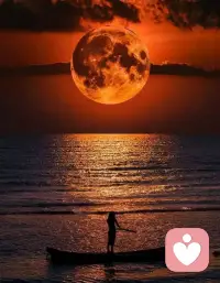 Learn to retain joy and filter negative trivialities. There are always trivial troubles in life, but we don’t have to keep them in our hearts. Let go of unimportant trivialities, retain warm and happy memories, and keep a clean and positive heart. Choosing to focus on joy is the wisest way to accumulate happiness in life.
中文：学会留存欢愉，过滤负面琐碎。生活难免有细碎纷扰，但不必悉数藏于心底。放下无关紧要的琐事，留存温暖快乐的点滴，保持澄澈向阳的心境。主动选择聚焦美好，是人生积攒幸福最通透的智慧。配图