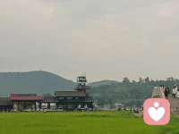 思考，是世俗意义上的祈祷。当你坚定确立目标，前行道路会慢慢浮现。许多人浑浑噩噩漂泊一生，缺少清晰内在方向。有意识的选择，始于建立真正珍视的价值。长远目标，指引你日复一日每一个微小决定。
——乔丹·彼得森
Thought is secularized prayer. When you firmly set your aim, the path forward will gradually emerge. Many people drift through life without clear inner direction. Conscious choice begins with establishing what you truly value. Your long-term goals guide every small decision you make day after day.配图