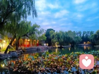 《荷塘月色》-朱自清
这几天心里颇不宁静今晚在院子里坐着乘凉，忽然想起日日走过的荷塘，在这满月的光里，总该另有一番样子吧。月亮渐渐地升高了，墙外马路上孩子们的欢笑，已经听不见了；妻在屋里拍着闰儿，迷迷糊糊地哼着眠歌。我悄悄地披了大衫，带上门出去。
沿着荷塘是一条曲折的小煤屑路。这是一条幽僻的路；白天也少人走夜晚更加寂寞。荷塘四面，长着许多树，蓊蓊郁郁的。路的一旁，是些杨柳，和一些不知道名字的树。没有月光的晚上，这路上阴森森的，有些怕人。今晚却很好，虽然月光也还是淡淡的
路上只我一个人背着手踱着。这一片天地好像是我的；我也像超出了平常的自己，到了另一个世界里。我爱热闹，也爱冷静；爱群居，也爱独处。像今晚上，一个人在这苍茫的月下，什么都可以想，什么都可以不想，便觉是个自由的人。白天里一定要做的事，一定要说的话，现在都可不理。这是独处的妙处，我且受用这无边的荷香月色好了
曲曲折折的荷塘上面，弥望的是田田的叶子。叶子出水很高，像亭亭的舞女的裙。层层的叶子中间，零星地点缀着些白花，有袅娜地开着的，有羞涩地打着朵儿的；正如一粒粒的明珠又如碧天里的星星，又如刚出浴的美人。微风过处，送来缕缕清香，仿佛远处高楼上渺茫的歌声似的。这时候叶子与花也有一丝的颤动，像闪电般，霎时传过荷塘的那边去了。叶子本是肩并肩密密地挨着，这便宛然有了一道凝碧的波痕。叶子底下是脉脉的流水，遮住了，不能见一些颜色；而叶子却更见风致了
月光如流水一般，静静地泻在这一片叶子和花上。薄薄的青雾浮起在荷塘里。叶子和花仿佛在牛乳中洗过一样；又像笼着轻纱的梦。虽然是满月，天上却有一层淡淡的云，所以不能朗照；但我以为这恰是到了好处，酣眠固不可少，小睡也别有风味的。月光是隔了树照过来的，高处丛生的灌木，落下参差的斑驳的黑影，峭楞楞如鬼一般；弯弯的杨柳的稀疏的倩影，却又像是画在荷叶上。塘中的月色并不均匀；但光与影有着和谐的旋律，如梵婀玲上奏着的名曲
荷塘的四面，远远近近高高低低都是树，而杨柳最多。这些树将一片荷塘重重围住；只在小路一旁，漏着几段空隙，像是特为月光留下的。树色一例是阴阴的，乍看像一团烟雾；但杨柳的丰姿，便在烟雾里也辨得出。树梢上隐隐约约的是一带远山，只有些大意罢了。树缝里也漏着一两点路灯光，没精打采的，是渴睡人的眼。这时候最热闹的要数树上的蝉声与水里的蛙声；但热闹是它们的我什么也没有
1927.7北京清华园配图