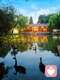 《荷塘月色》-朱自清
这几天心里颇不宁静今晚在院子里坐着乘凉，忽然想起日日走过的荷塘，在这满月的光里，总该另有一番样子吧。月亮渐渐地升高了，墙外马路上孩子们的欢笑，已经听不见了；妻在屋里拍着闰儿，迷迷糊糊地哼着眠歌。我悄悄地披了大衫，带上门出去。
沿着荷塘是一条曲折的小煤屑路。这是一条幽僻的路；白天也少人走夜晚更加寂寞。荷塘四面，长着许多树，蓊蓊郁郁的。路的一旁，是些杨柳，和一些不知道名字的树。没有月光的晚上，这路上阴森森的，有些怕人。今晚却很好，虽然月光也还是淡淡的
路上只我一个人背着手踱着。这一片天地好像是我的；我也像超出了平常的自己，到了另一个世界里。我爱热闹，也爱冷静；爱群居，也爱独处。像今晚上，一个人在这苍茫的月下，什么都可以想，什么都可以不想，便觉是个自由的人。白天里一定要做的事，一定要说的话，现在都可不理。这是独处的妙处，我且受用这无边的荷香月色好了
曲曲折折的荷塘上面，弥望的是田田的叶子。叶子出水很高，像亭亭的舞女的裙。层层的叶子中间，零星地点缀着些白花，有袅娜地开着的，有羞涩地打着朵儿的；正如一粒粒的明珠又如碧天里的星星，又如刚出浴的美人。微风过处，送来缕缕清香，仿佛远处高楼上渺茫的歌声似的。这时候叶子与花也有一丝的颤动，像闪电般，霎时传过荷塘的那边去了。叶子本是肩并肩密密地挨着，这便宛然有了一道凝碧的波痕。叶子底下是脉脉的流水，遮住了，不能见一些颜色；而叶子却更见风致了
月光如流水一般，静静地泻在这一片叶子和花上。薄薄的青雾浮起在荷塘里。叶子和花仿佛在牛乳中洗过一样；又像笼着轻纱的梦。虽然是满月，天上却有一层淡淡的云，所以不能朗照；但我以为这恰是到了好处，酣眠固不可少，小睡也别有风味的。月光是隔了树照过来的，高处丛生的灌木，落下参差的斑驳的黑影，峭楞楞如鬼一般；弯弯的杨柳的稀疏的倩影，却又像是画在荷叶上。塘中的月色并不均匀；但光与影有着和谐的旋律，如梵婀玲上奏着的名曲
荷塘的四面，远远近近高高低低都是树，而杨柳最多。这些树将一片荷塘重重围住；只在小路一旁，漏着几段空隙，像是特为月光留下的。树色一例是阴阴的，乍看像一团烟雾；但杨柳的丰姿，便在烟雾里也辨得出。树梢上隐隐约约的是一带远山，只有些大意罢了。树缝里也漏着一两点路灯光，没精打采的，是渴睡人的眼。这时候最热闹的要数树上的蝉声与水里的蛙声；但热闹是它们的我什么也没有
1927.7北京清华园配图