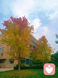 校园秋色关不住
【中文】学会欣赏微小的美好，是治愈内心疲惫最好的方式。我们总习惯追逐宏大遥远的目标，却忽略身边触手可及的温柔。一阵晚风，一束阳光，一片落叶，一句真诚问候，都是生活馈赠的礼物。幸福很少藏在遥不可及的终点，更多散落在日常细碎的瞬间。拥有发现美好的眼睛，就算日子平淡，内心也不会荒芜。
【英文】Learning to appreciate small beauties is the best way to heal tired hearts. We are always used to chasing grand and distant goals while ignoring the tenderness within our reach. An evening breeze, a ray of sunshine, a fallen leaf, a sincere greeting, all are gifts from life. Happiness rarely hides in unreachable destinations; it scatters more in trivial daily moments. If you have eyes to discover beauty, your heart will never be barren even if days are plain.
——普鲁斯特《追忆似水年华》配图