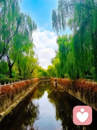 校园秋色关不住
【中文】学会欣赏微小的美好，是治愈内心疲惫最好的方式。我们总习惯追逐宏大遥远的目标，却忽略身边触手可及的温柔。一阵晚风，一束阳光，一片落叶，一句真诚问候，都是生活馈赠的礼物。幸福很少藏在遥不可及的终点，更多散落在日常细碎的瞬间。拥有发现美好的眼睛，就算日子平淡，内心也不会荒芜。
【英文】Learning to appreciate small beauties is the best way to heal tired hearts. We are always used to chasing grand and distant goals while ignoring the tenderness within our reach. An evening breeze, a ray of sunshine, a fallen leaf, a sincere greeting, all are gifts from life. Happiness rarely hides in unreachable destinations; it scatters more in trivial daily moments. If you have eyes to discover beauty, your heart will never be barren even if days are plain.
——普鲁斯特《追忆似水年华》配图