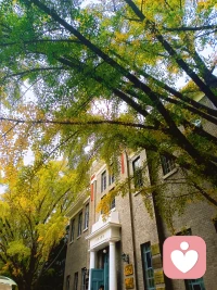 校园秋色关不住
【中文】学会欣赏微小的美好，是治愈内心疲惫最好的方式。我们总习惯追逐宏大遥远的目标，却忽略身边触手可及的温柔。一阵晚风，一束阳光，一片落叶，一句真诚问候，都是生活馈赠的礼物。幸福很少藏在遥不可及的终点，更多散落在日常细碎的瞬间。拥有发现美好的眼睛，就算日子平淡，内心也不会荒芜。
【英文】Learning to appreciate small beauties is the best way to heal tired hearts. We are always used to chasing grand and distant goals while ignoring the tenderness within our reach. An evening breeze, a ray of sunshine, a fallen leaf, a sincere greeting, all are gifts from life. Happiness rarely hides in unreachable destinations; it scatters more in trivial daily moments. If you have eyes to discover beauty, your heart will never be barren even if days are plain.
——普鲁斯特《追忆似水年华》配图