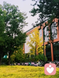 校园秋色关不住
【中文】学会欣赏微小的美好，是治愈内心疲惫最好的方式。我们总习惯追逐宏大遥远的目标，却忽略身边触手可及的温柔。一阵晚风，一束阳光，一片落叶，一句真诚问候，都是生活馈赠的礼物。幸福很少藏在遥不可及的终点，更多散落在日常细碎的瞬间。拥有发现美好的眼睛，就算日子平淡，内心也不会荒芜。
【英文】Learning to appreciate small beauties is the best way to heal tired hearts. We are always used to chasing grand and distant goals while ignoring the tenderness within our reach. An evening breeze, a ray of sunshine, a fallen leaf, a sincere greeting, all are gifts from life. Happiness rarely hides in unreachable destinations; it scatters more in trivial daily moments. If you have eyes to discover beauty, your heart will never be barren even if days are plain.
——普鲁斯特《追忆似水年华》配图