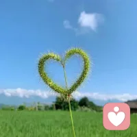 每個人都有一片屬于自己的森林，也許我們從來不曾去過，但它一直在那里，總會在那里。
迷失的人迷失了，相逢的人會再相逢。配圖